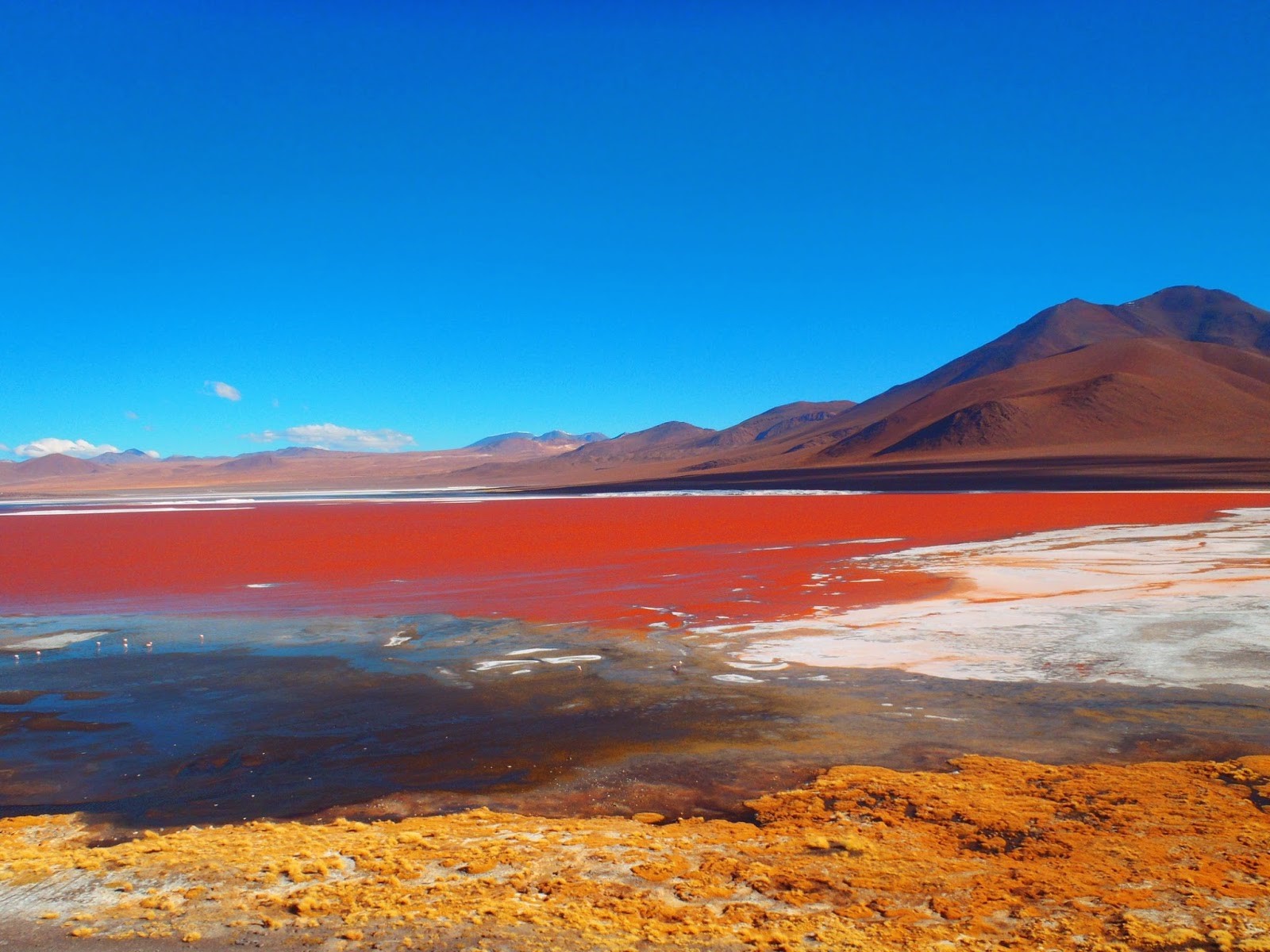 laguna-colorada