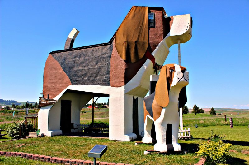 dog-bnb2